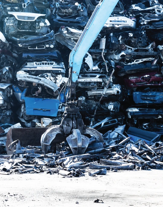 Collection and recycling process